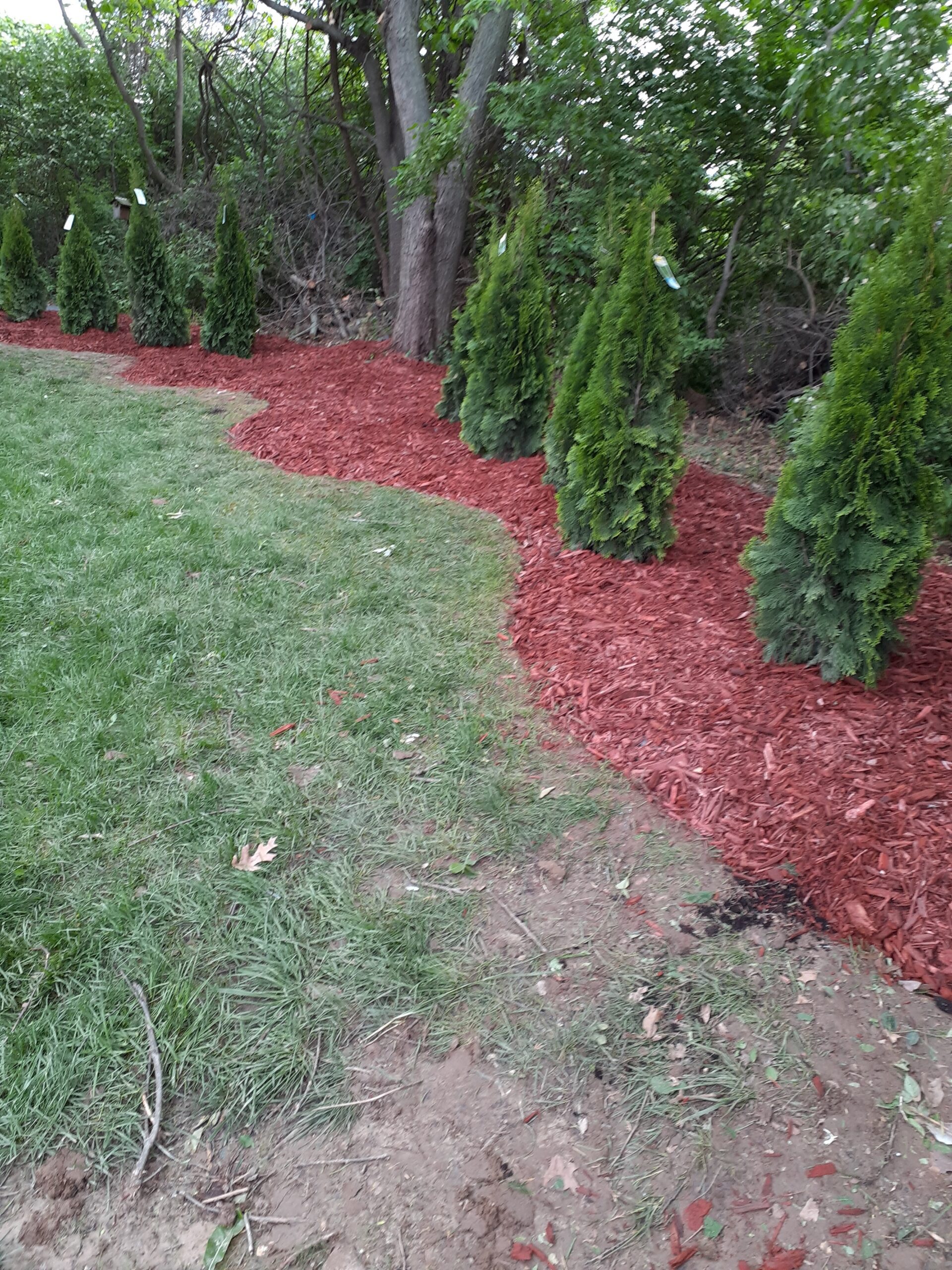 Landscape Outside the House