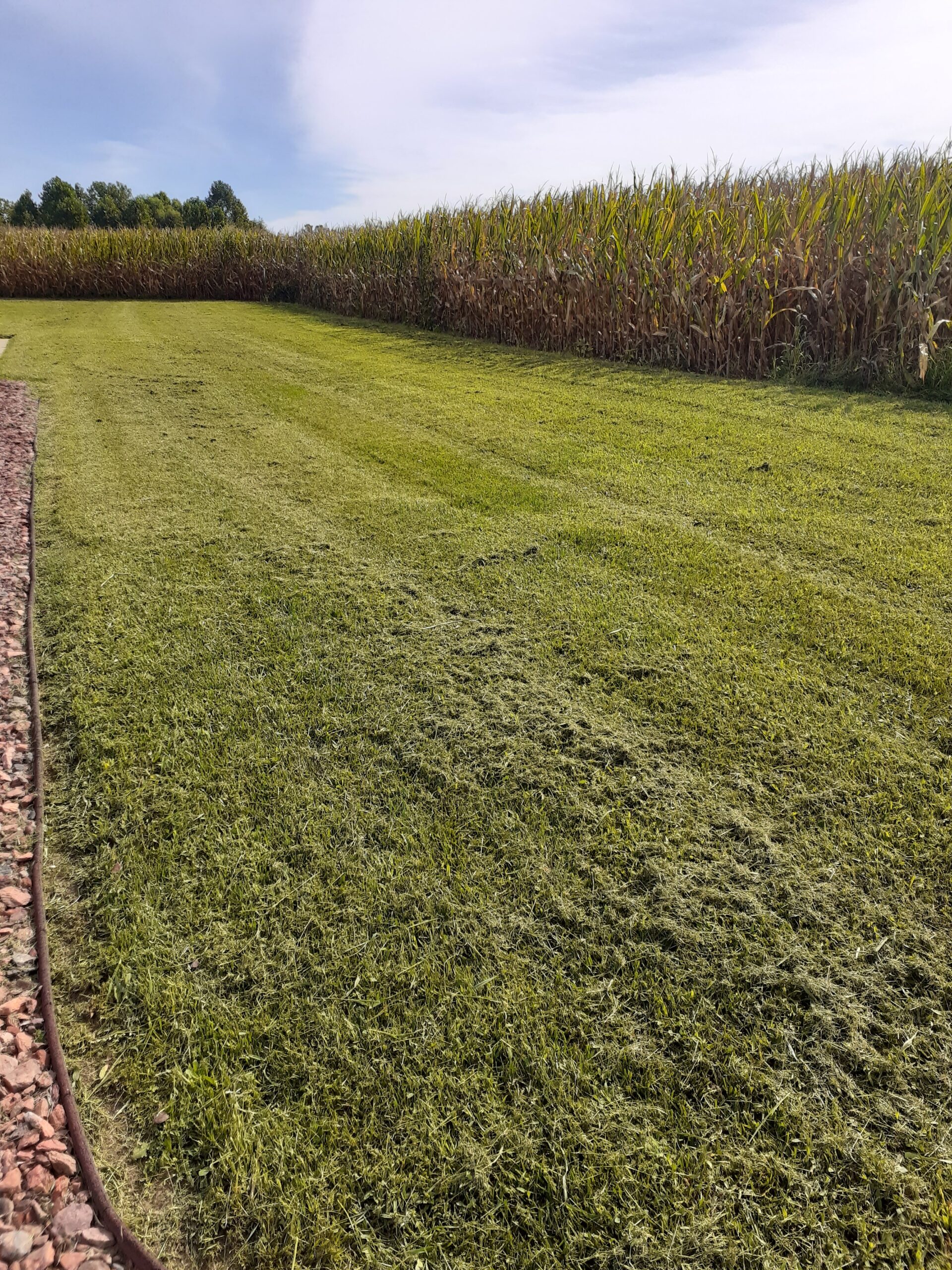 Lawn Near the Field