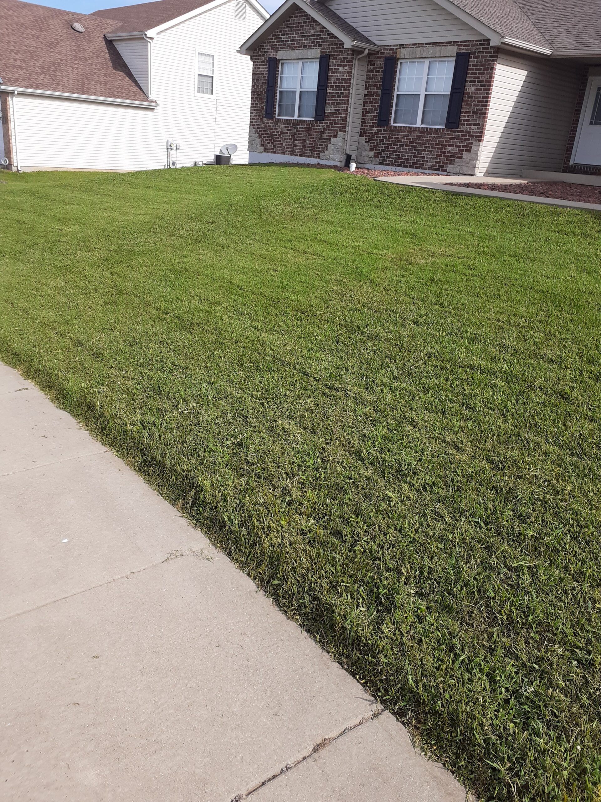 Mowed Lawn