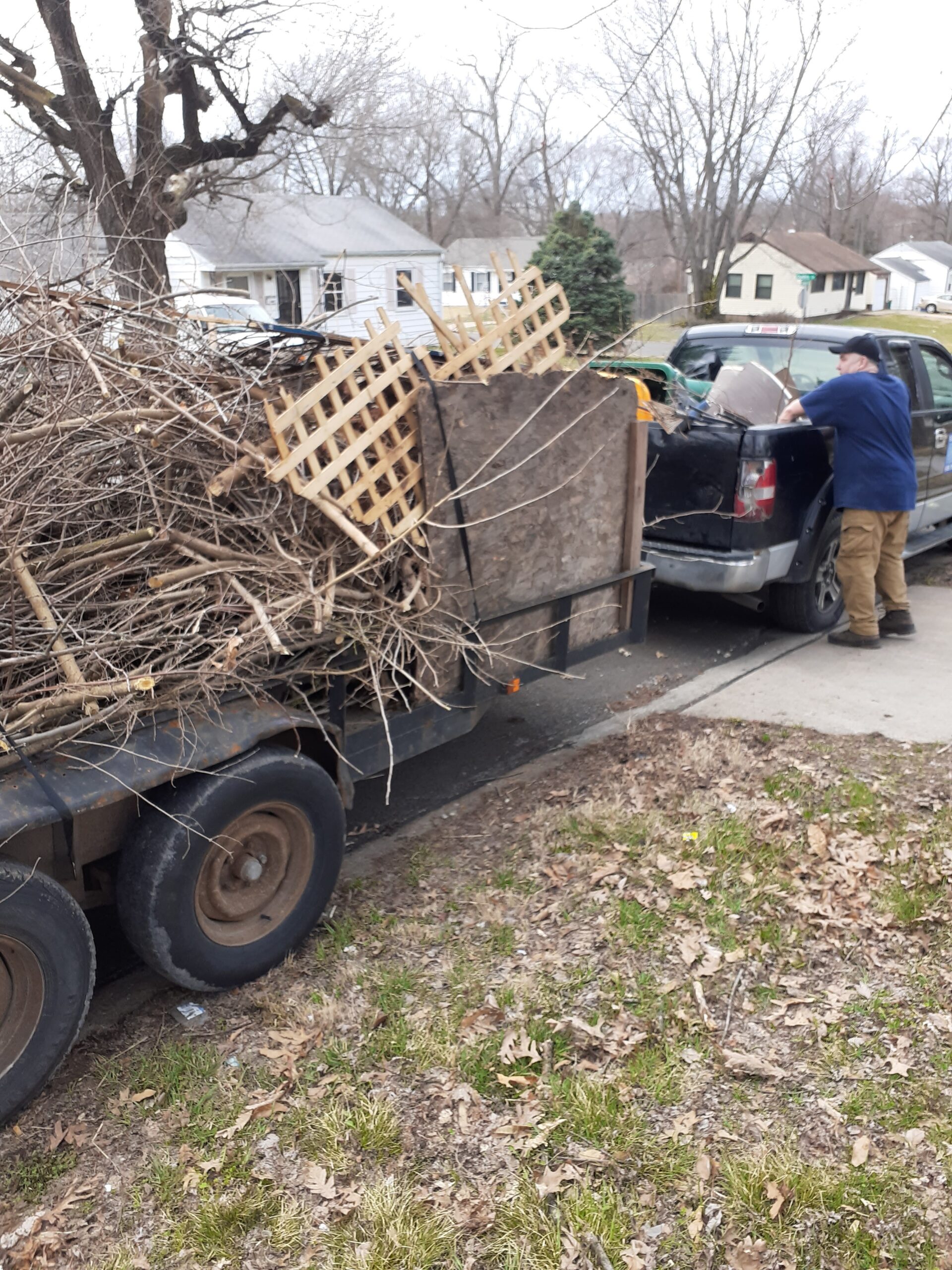 Pile of Tree Branches in a Truck